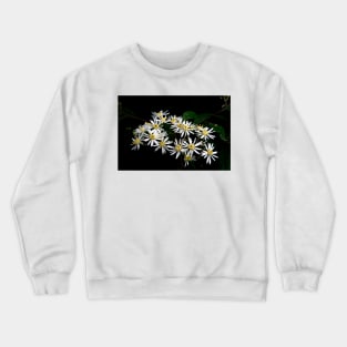 Sticky Daisy Bush Crewneck Sweatshirt